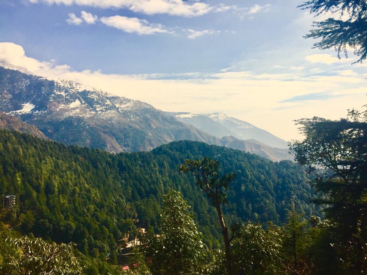 The Unmad, Dharamkot Otel Dharamshala Dış mekan fotoğraf