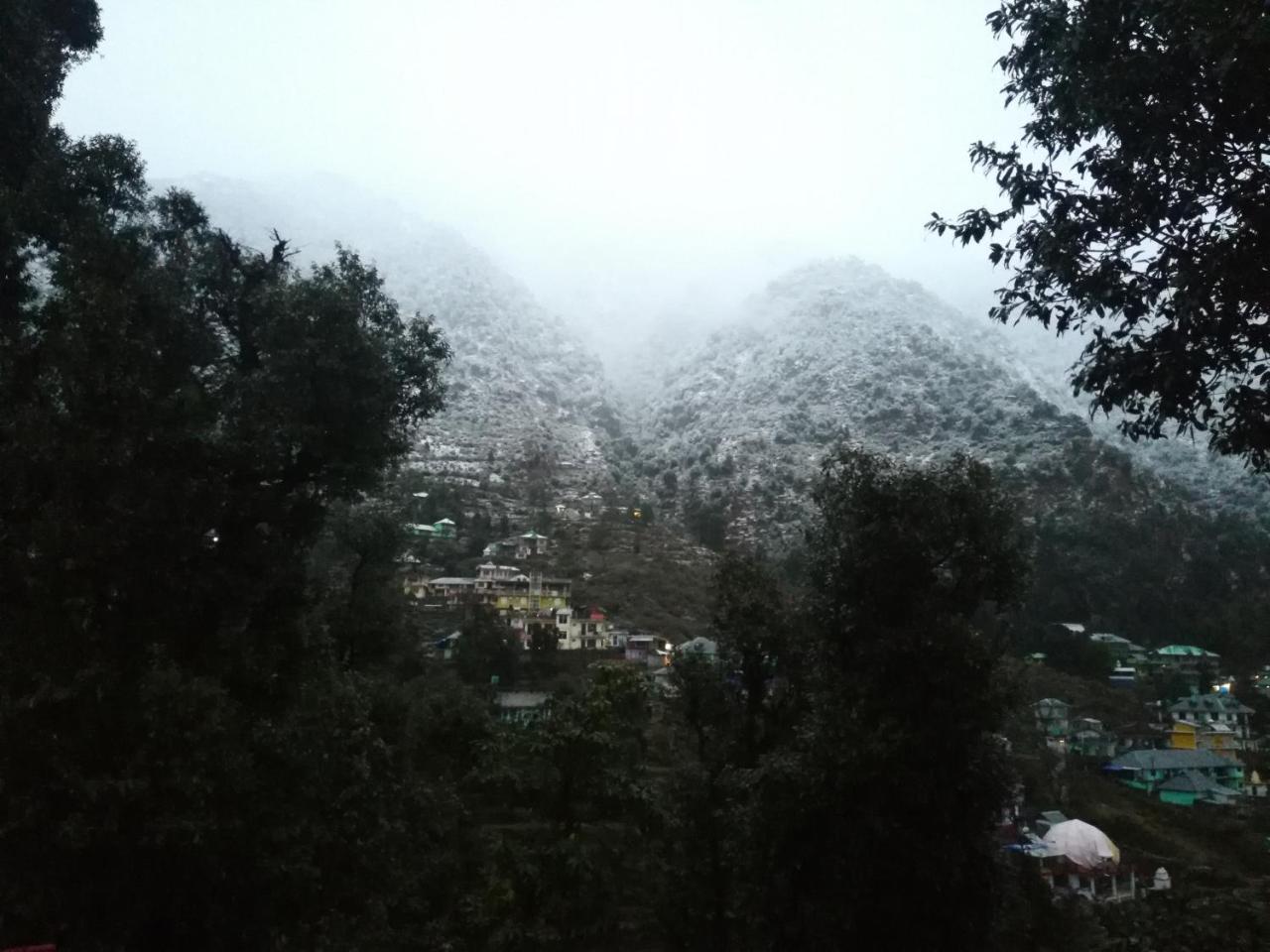 The Unmad, Dharamkot Otel Dharamshala Dış mekan fotoğraf