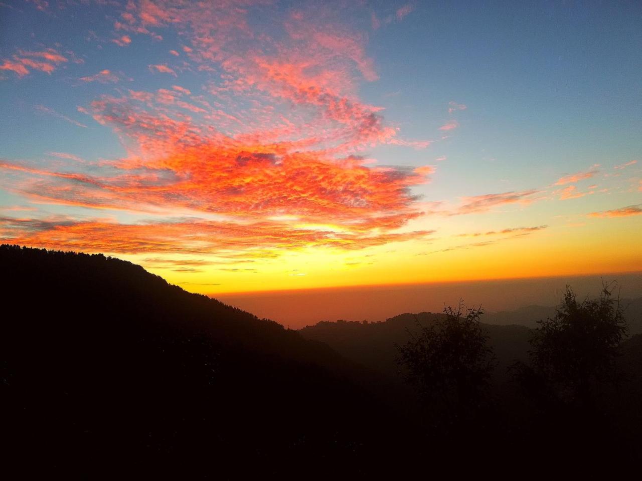 The Unmad, Dharamkot Otel Dharamshala Dış mekan fotoğraf