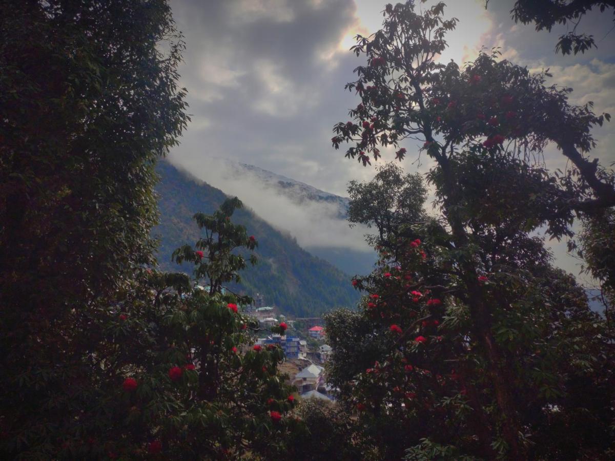 The Unmad, Dharamkot Otel Dharamshala Dış mekan fotoğraf